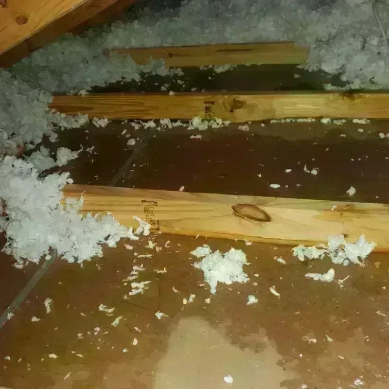 Attic Water Damage in Marbury, AL